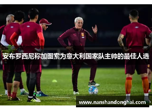 安布罗西尼称加图索为意大利国家队主帅的最佳人选 安布罗西尼称加图索为意大利国家队主帅的最佳人选